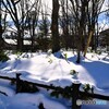 雪近景色