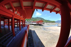 "itukushima" with a fisheye lens