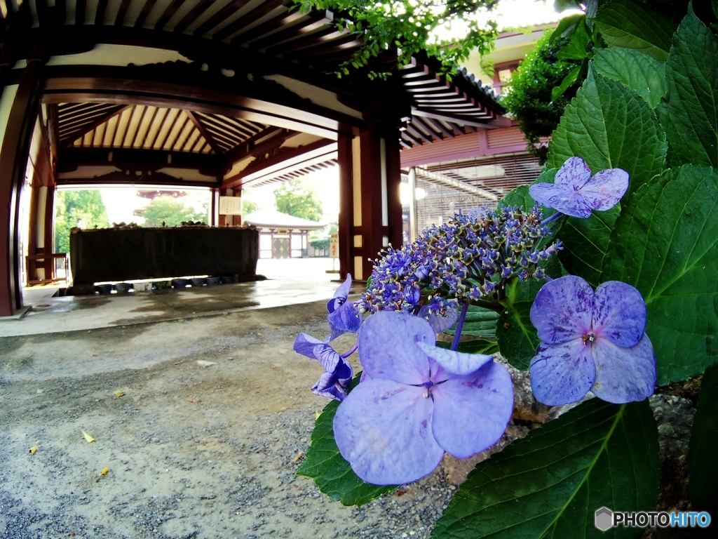定位置をfisheye-lensで狙いました。