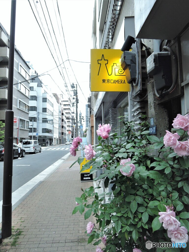 東京CAMERA・・・お写んpo