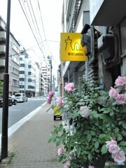東京CAMERA・・・お写んpo