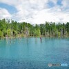 BLUE　＆　GREEN