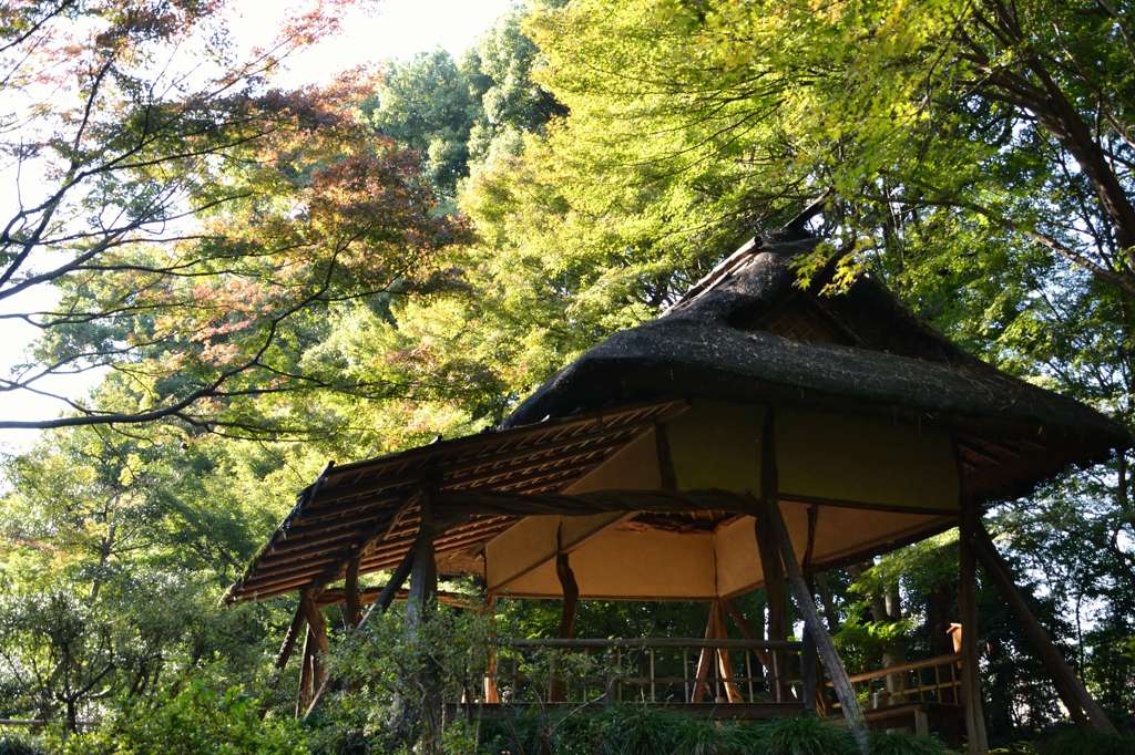 茶屋