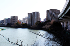 桜はまだまだ