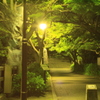 夜の