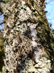 P3200232 