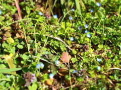 P3200229