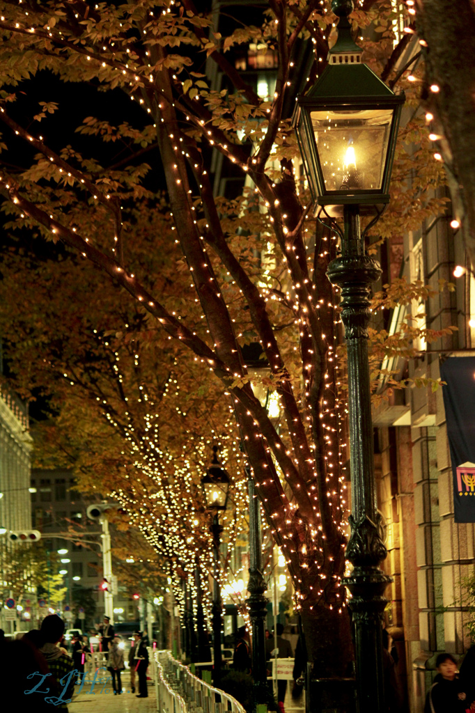 2011.12神戸ルミナリエ