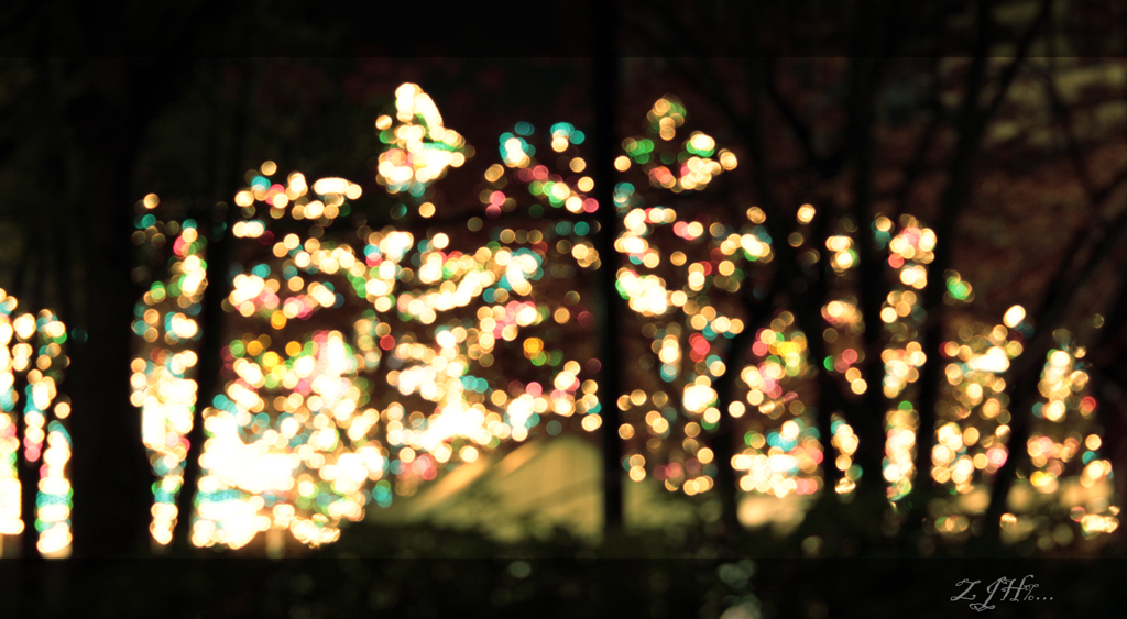 2011.12神戸ルミナリエ