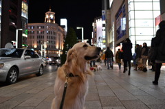 銀座をぶらり・・・