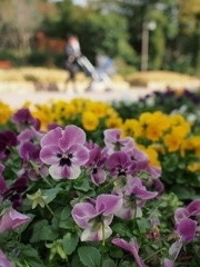 植物公園