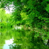 vivid green