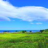 atmosphere