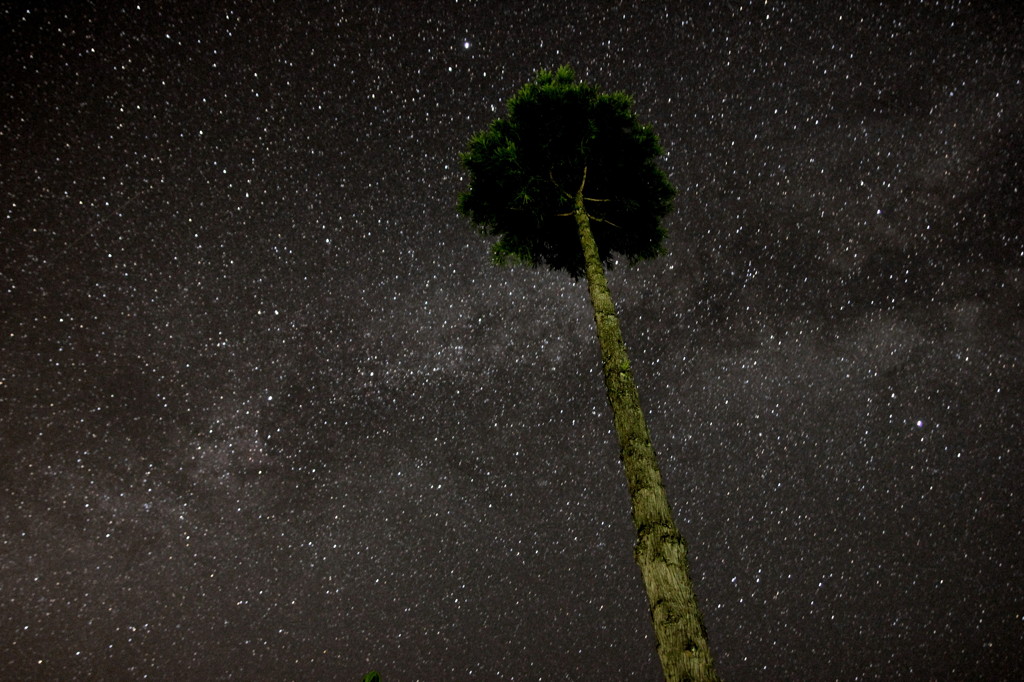 夏の星空