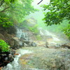 greenery