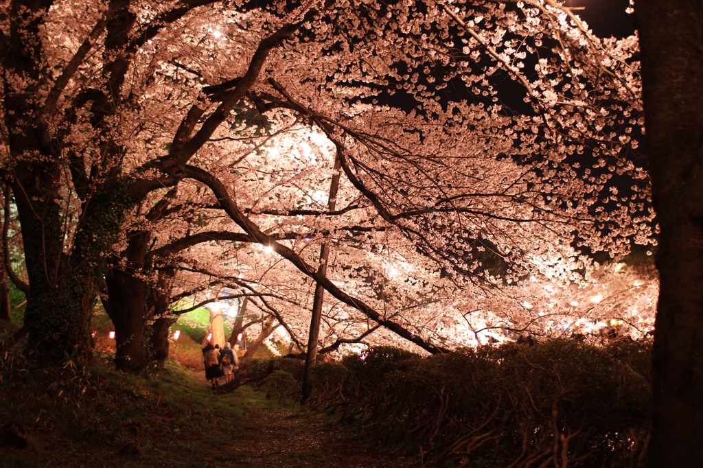 トンネル