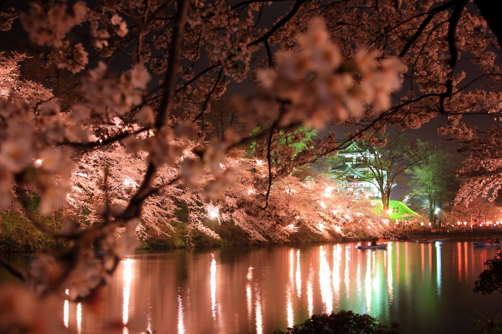 高田公園観桜会