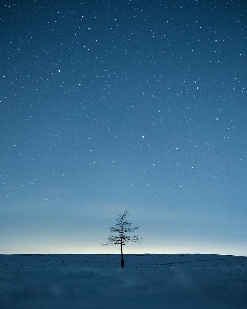 star tree