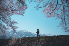 春散歩