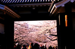 向こう側の別世界