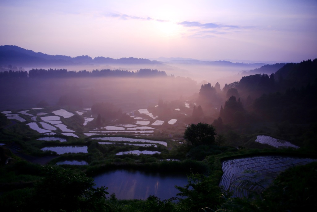 星峠朝霧