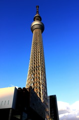 skytree