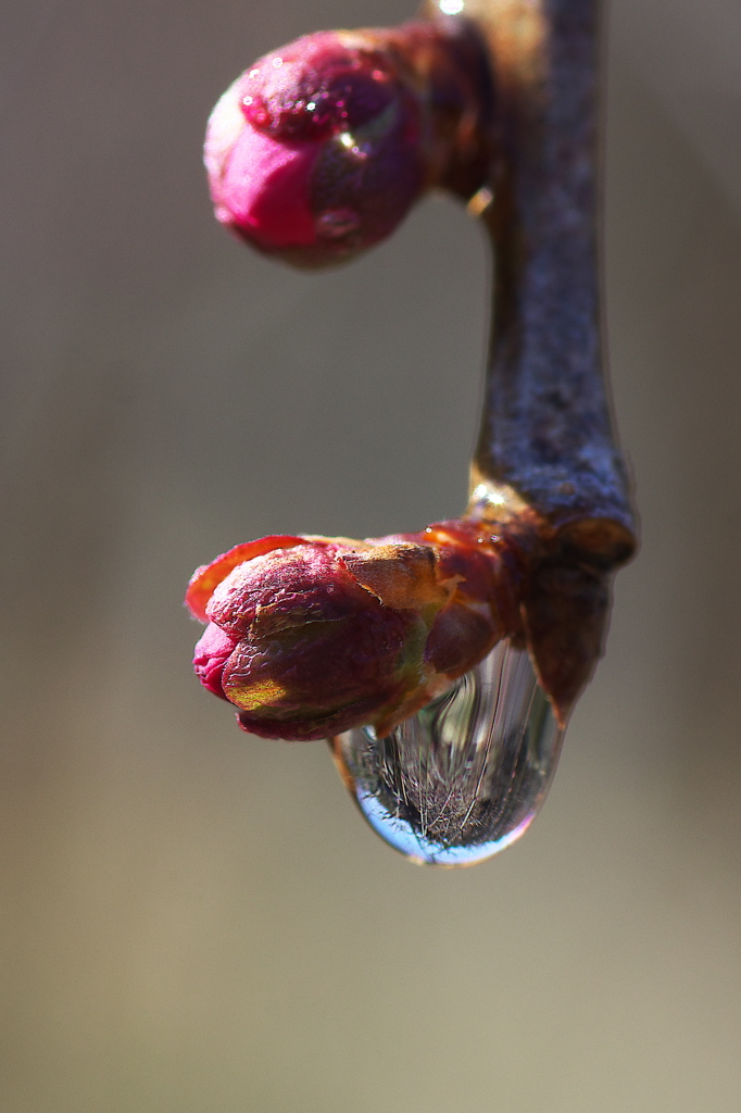 水滴