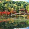 庭園・公園