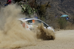 2016 FIM WRC Rd.3 Guanajuato Mexico 2/5