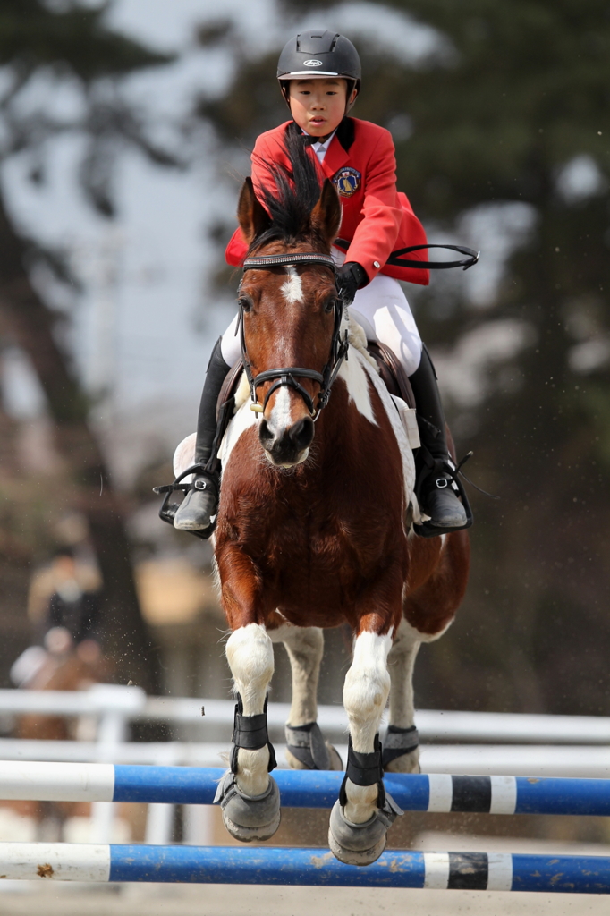 平成２５年早春群馬県馬術大会