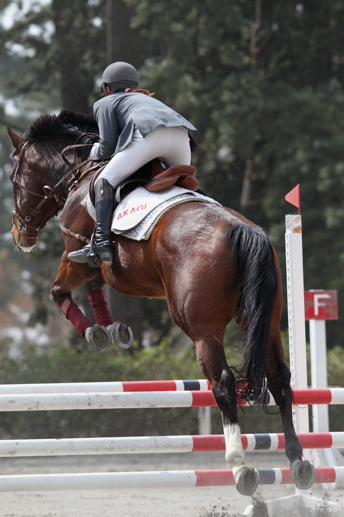 平成２５年早春群馬県馬術大会