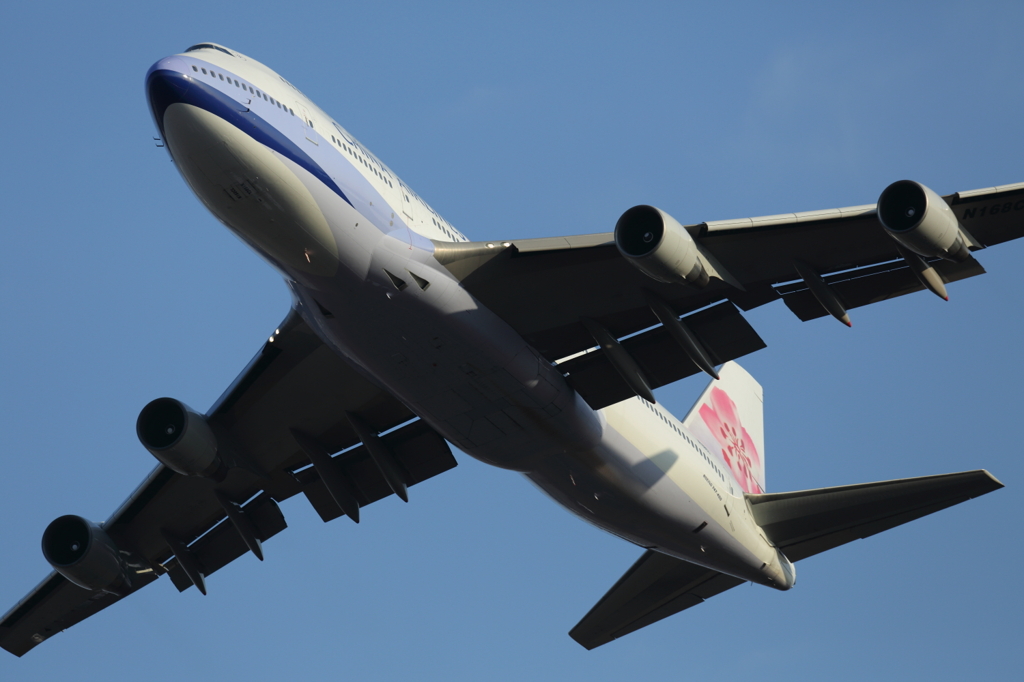 成田空港