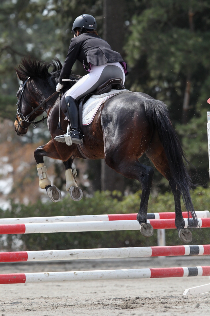 平成２５年早春群馬県馬術大会