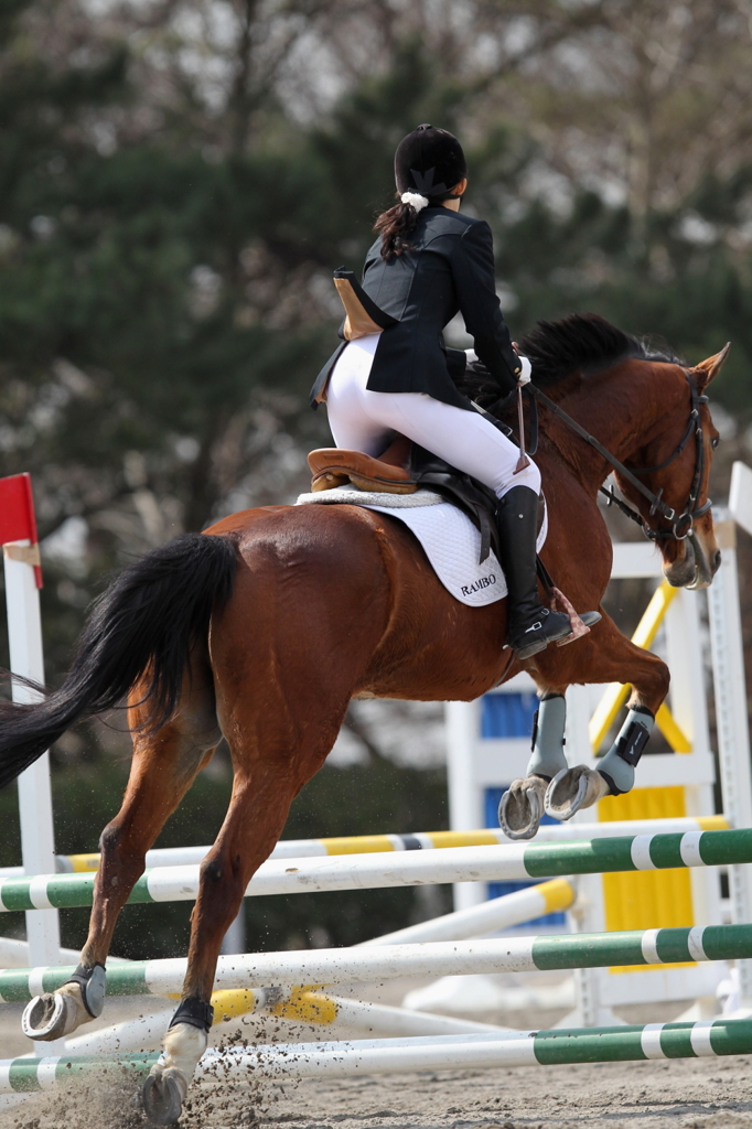 平成２５年早春群馬県馬術大会