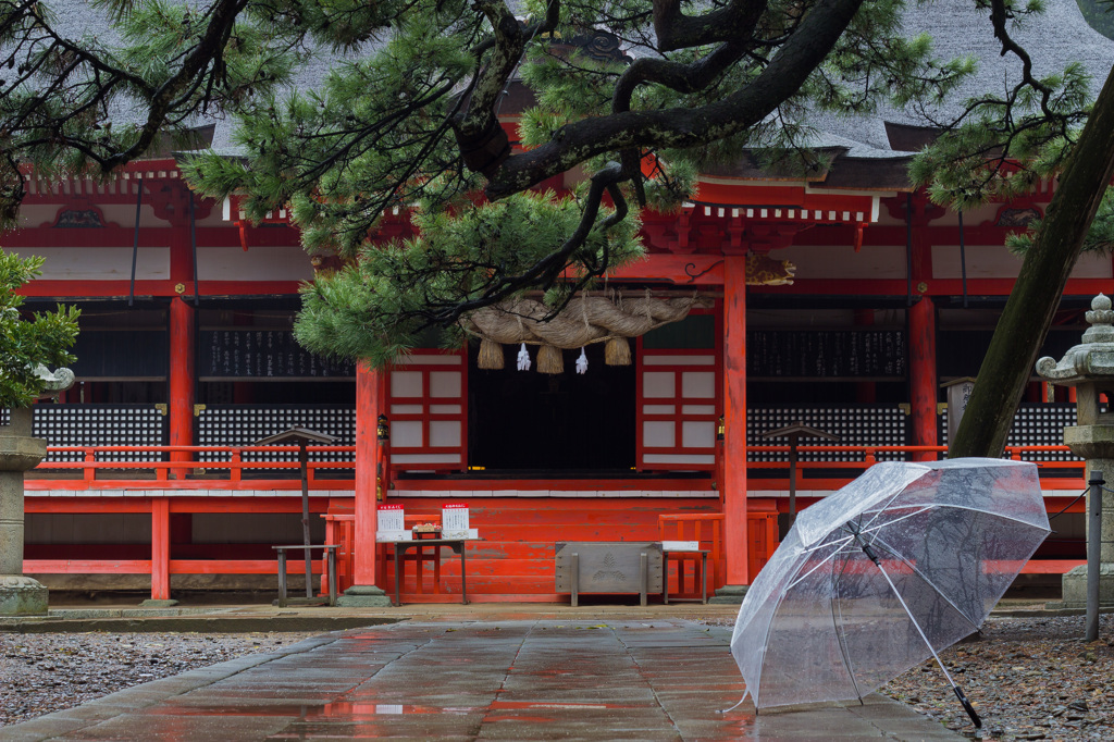 夜守りし神社