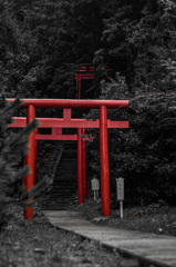 奥へと奥へと…