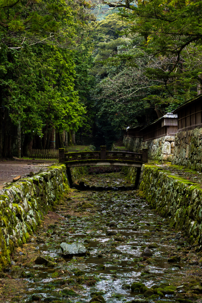 静と生