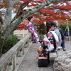 紅葉と和装