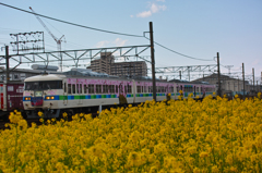 水都大垣菜の花満開稲沢貨物線をゆく！！