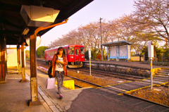 桜並木のもとで