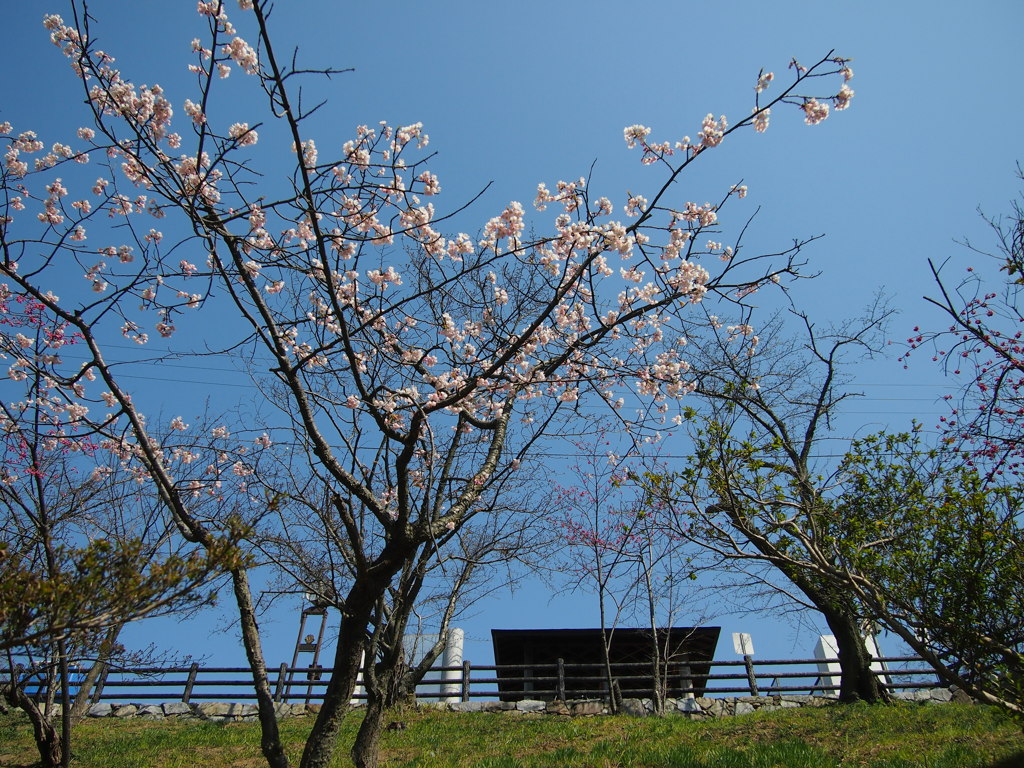 いい天気