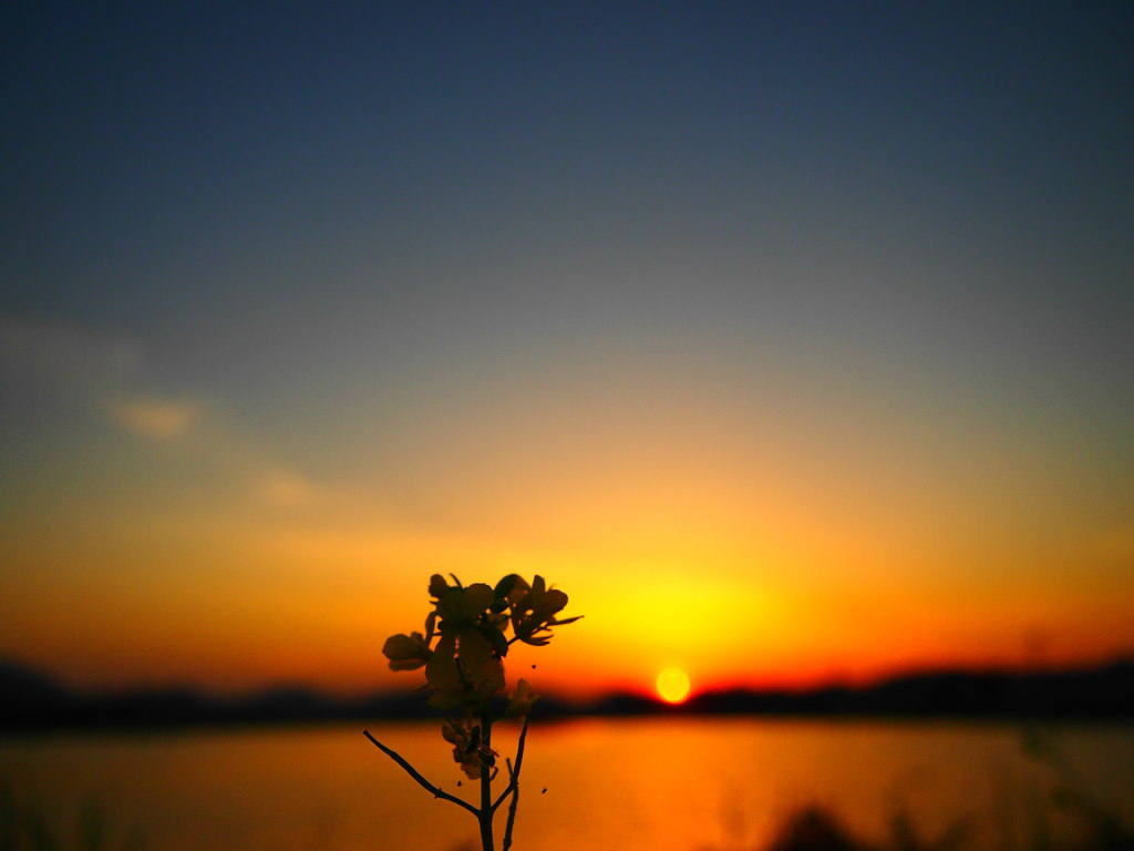 12.04.14夕暮れ 03