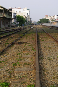 IMGP9513