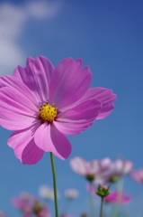 IMGP0002