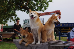 IMGP0983