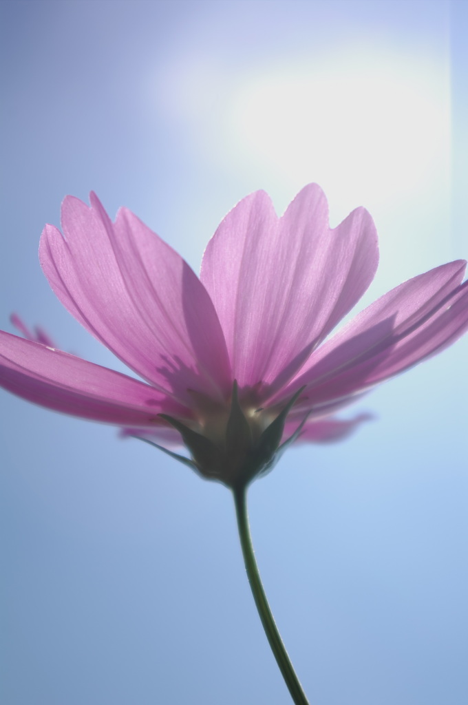 IMGP0004