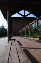 IMGP8947