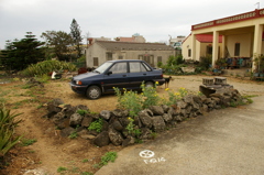 IMGP0971
