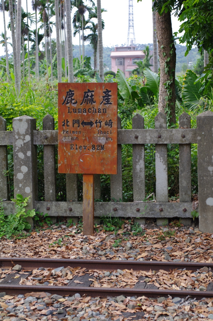 IMGP1066