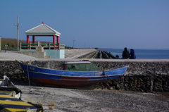 IMGP8082